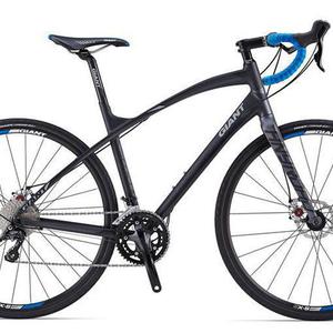 2014 Giant Anyroad 1