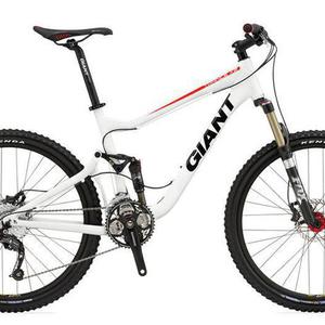2010 Giant Trance 5.0