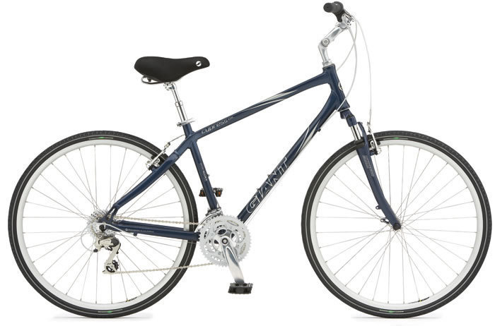 2006 giant cypress dx